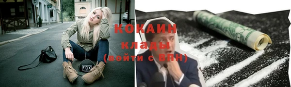 прущие грибы Алзамай