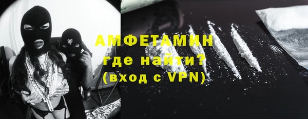 прущие грибы Алзамай