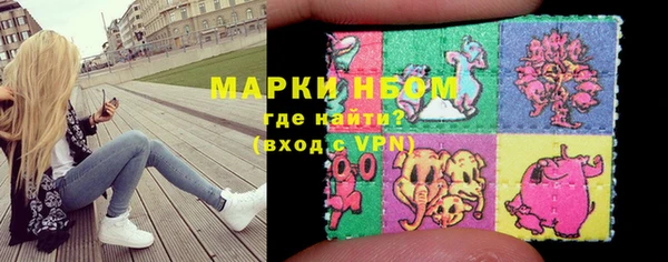 прущие грибы Алзамай