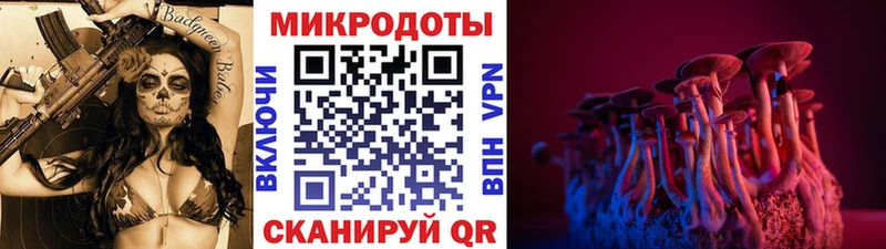 Галлюциногенные грибы MAGIC MUSHROOMS  darknet Telegram  Нефтекамск 